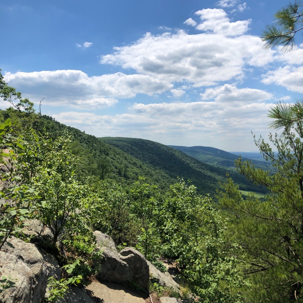 Meet your Posher, Kiara